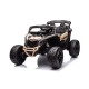 Elektriauto laste akuauto CAN-AM Maverick UTV